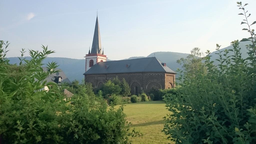 Am Bruttiger Moselsteig * Bruttig-Fankel