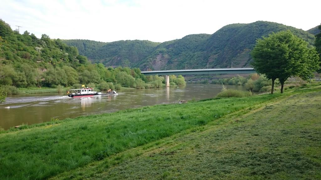 Am Bruttiger Moselsteig *