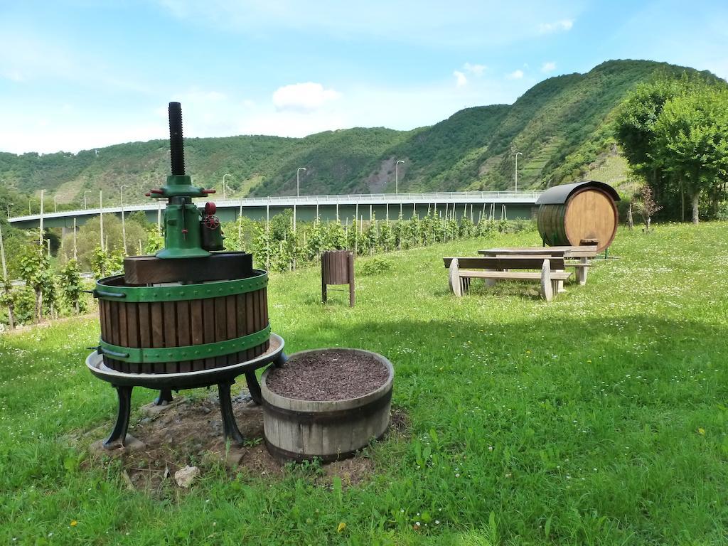 Am Bruttiger Moselsteig