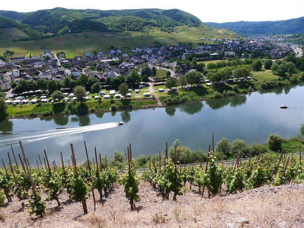 Am Bruttiger Moselsteig
