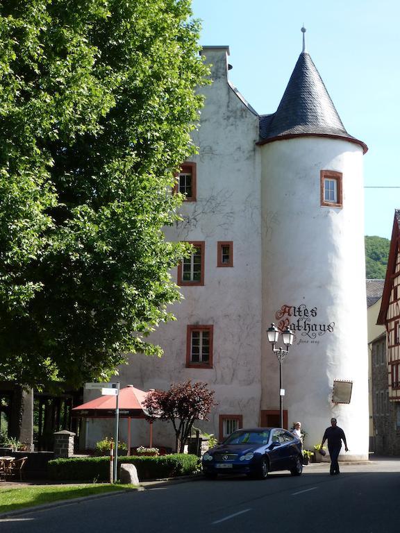 Am Bruttiger Moselsteig Apartment Bruttig-Fankel