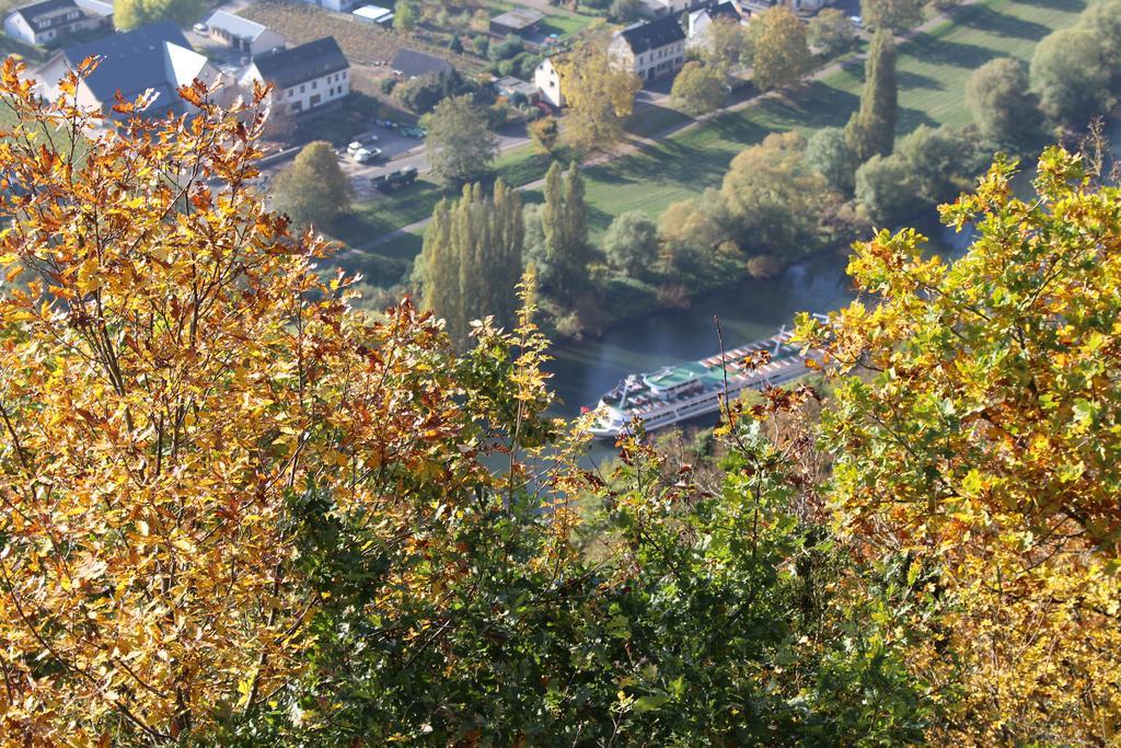 Appartement Am Bruttiger Moselsteig Bruttig-Fankel