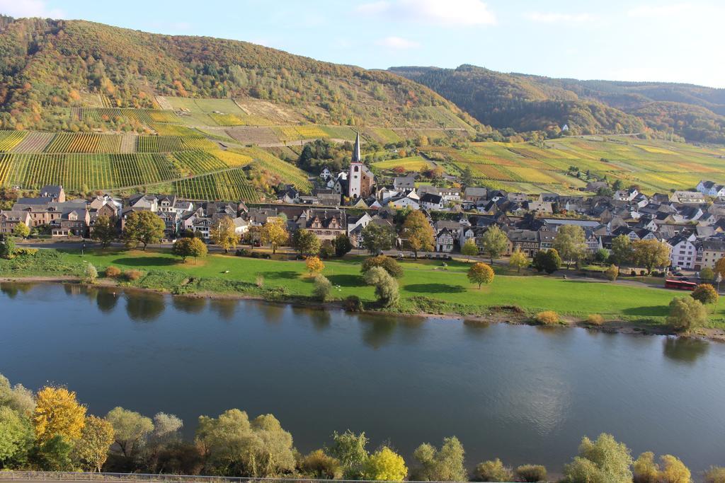 Appartement Am Bruttiger Moselsteig