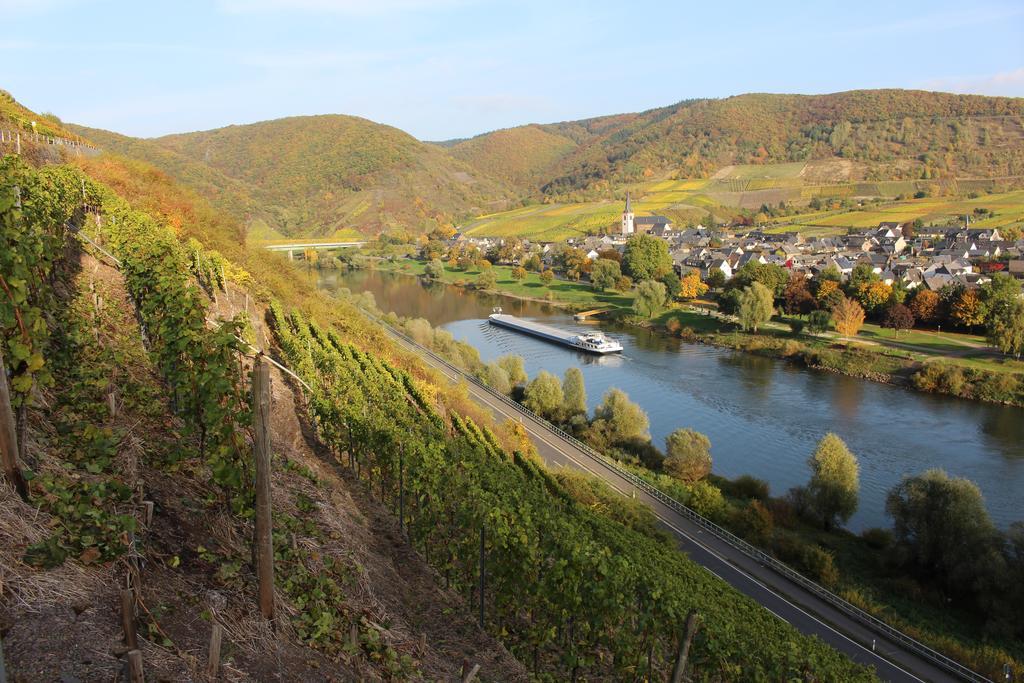 Am Bruttiger Moselsteig Bruttig-Fankel