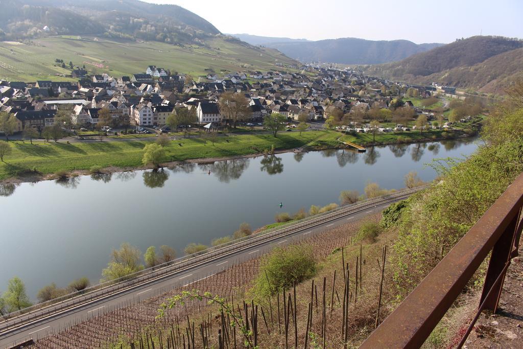 Am Bruttiger Moselsteig * Bruttig-Fankel