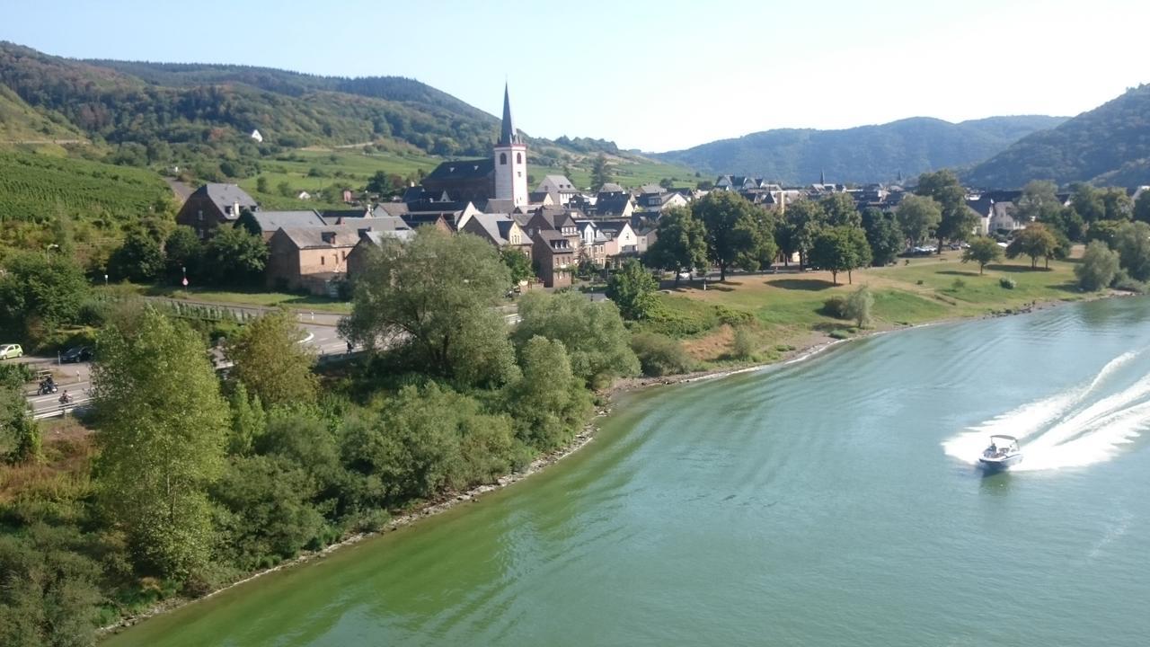 Appartement Am Bruttiger Moselsteig