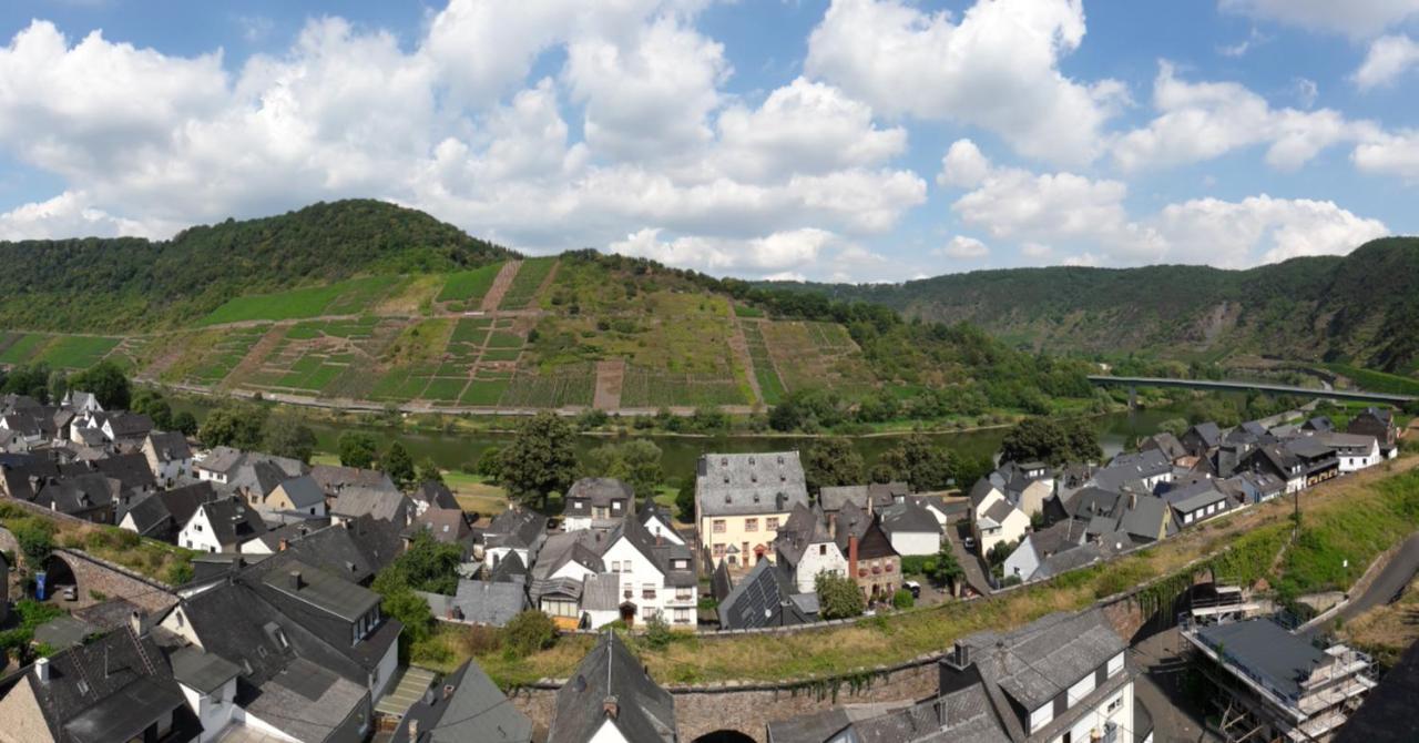 Am Bruttiger Moselsteig * Bruttig-Fankel