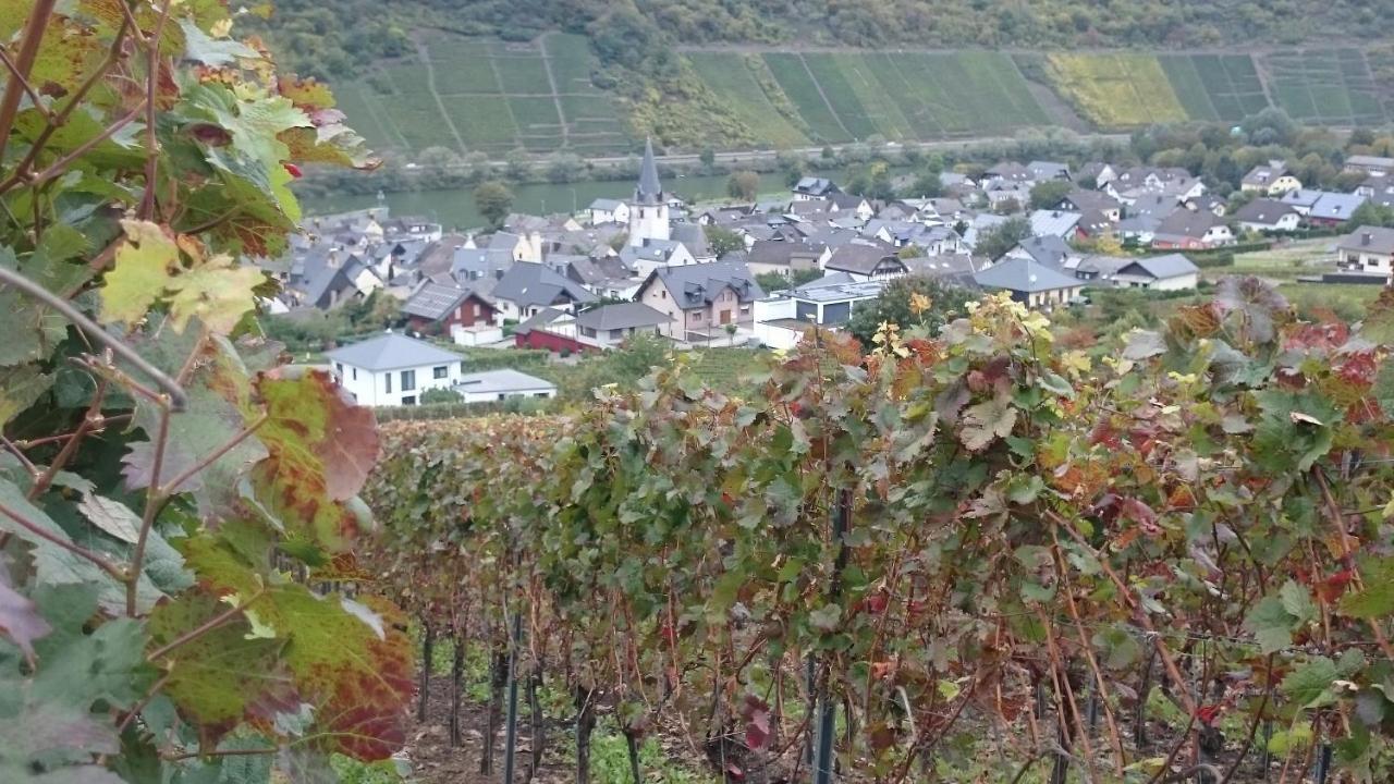 Appartement Am Bruttiger Moselsteig